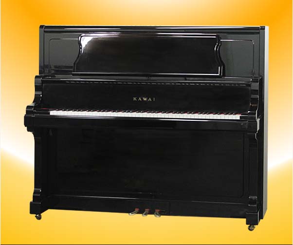 Music City – Tổng Kho Piano, Guitar, Organ | Dịch Vụ Giáo Dục Âm Nhạc