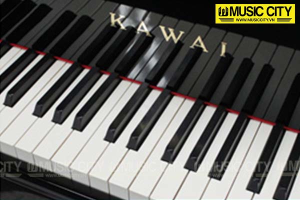 Music City – Tổng Kho Piano, Guitar, Organ | Dịch Vụ Giáo Dục Âm Nhạc