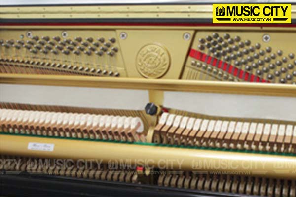 Music City – Tổng Kho Piano, Guitar, Organ | Dịch Vụ Giáo Dục Âm Nhạc