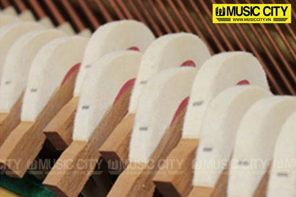 Music City – Tổng Kho Piano, Guitar, Organ | Dịch Vụ Giáo Dục Âm Nhạc