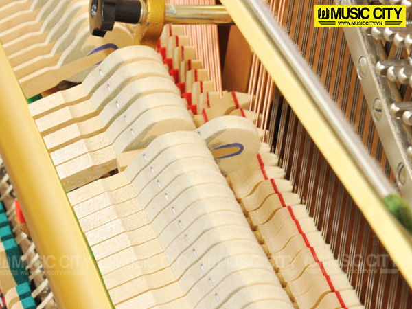 Music City – Tổng Kho Piano, Guitar, Organ | Dịch Vụ Giáo Dục Âm Nhạc