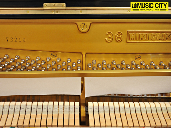 Music City – Tổng Kho Piano, Guitar, Organ | Dịch Vụ Giáo Dục Âm Nhạc