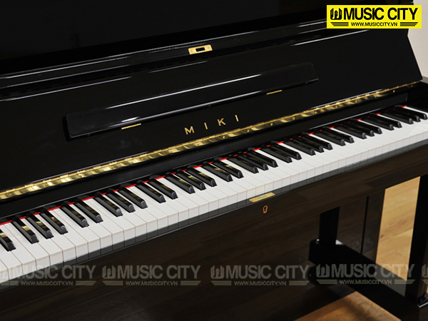 Music City – Tổng Kho Piano, Guitar, Organ | Dịch Vụ Giáo Dục Âm Nhạc