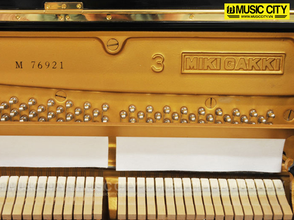Music City – Tổng Kho Piano, Guitar, Organ | Dịch Vụ Giáo Dục Âm Nhạc