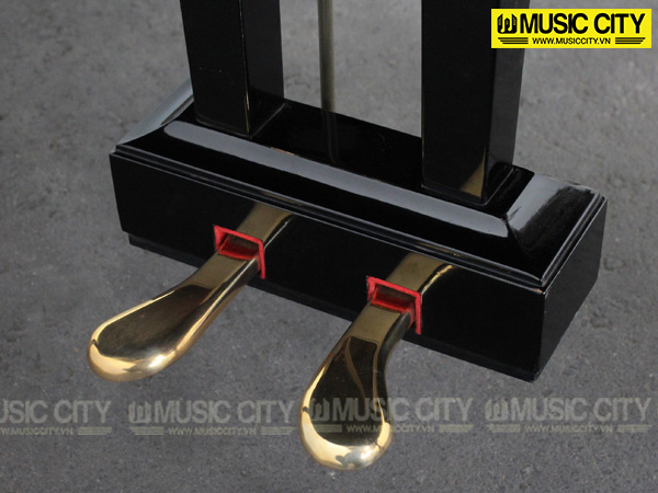 Music City – Tổng Kho Piano, Guitar, Organ | Dịch Vụ Giáo Dục Âm Nhạc