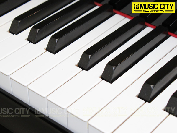 Music City – Tổng Kho Piano, Guitar, Organ | Dịch Vụ Giáo Dục Âm Nhạc