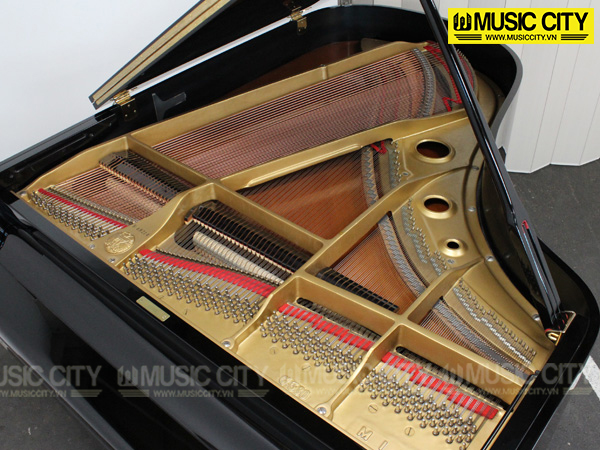 Music City – Tổng Kho Piano, Guitar, Organ | Dịch Vụ Giáo Dục Âm Nhạc