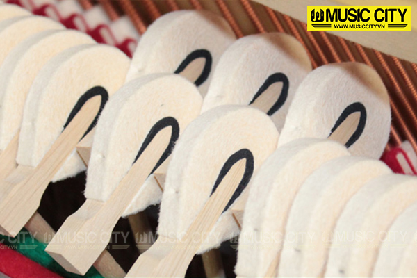 Music City – Tổng Kho Piano, Guitar, Organ | Dịch Vụ Giáo Dục Âm Nhạc