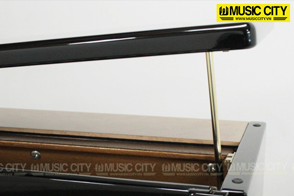 Music City – Tổng Kho Piano, Guitar, Organ | Dịch Vụ Giáo Dục Âm Nhạc
