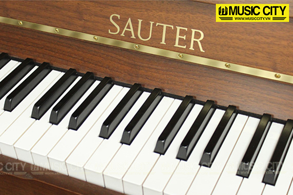 Music City – Tổng Kho Piano, Guitar, Organ | Dịch Vụ Giáo Dục Âm Nhạc