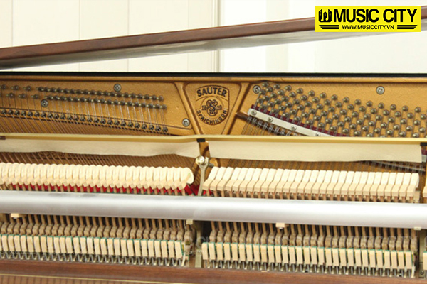 Music City – Tổng Kho Piano, Guitar, Organ | Dịch Vụ Giáo Dục Âm Nhạc