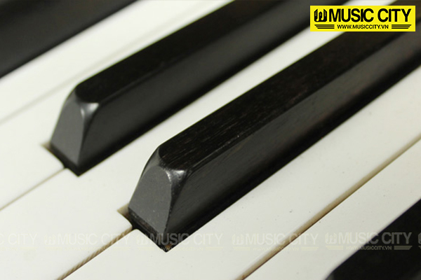 Music City – Tổng Kho Piano, Guitar, Organ | Dịch Vụ Giáo Dục Âm Nhạc