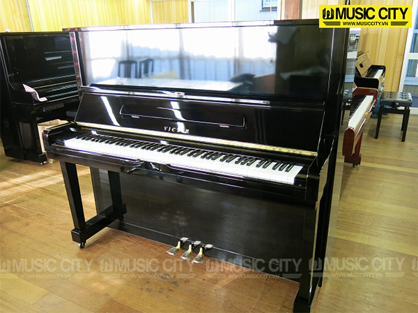 Music City – Tổng Kho Piano, Guitar, Organ | Dịch Vụ Giáo Dục Âm Nhạc