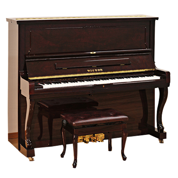 Music City – Tổng Kho Piano, Guitar, Organ | Dịch Vụ Giáo Dục Âm Nhạc