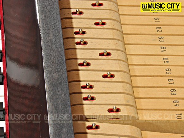 Music City – Tổng Kho Piano, Guitar, Organ | Dịch Vụ Giáo Dục Âm Nhạc