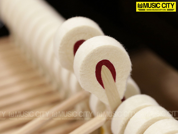 Music City – Tổng Kho Piano, Guitar, Organ | Dịch Vụ Giáo Dục Âm Nhạc