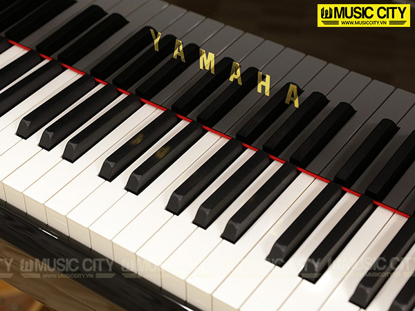 Music City – Tổng Kho Piano, Guitar, Organ | Dịch Vụ Giáo Dục Âm Nhạc