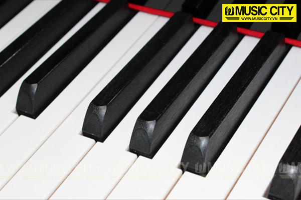 Music City – Tổng Kho Piano, Guitar, Organ | Dịch Vụ Giáo Dục Âm Nhạc