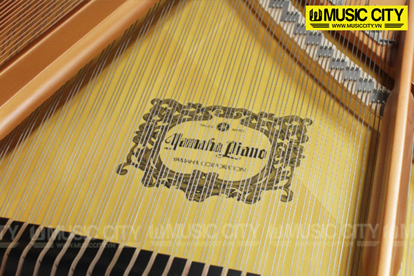 Music City – Tổng Kho Piano, Guitar, Organ | Dịch Vụ Giáo Dục Âm Nhạc