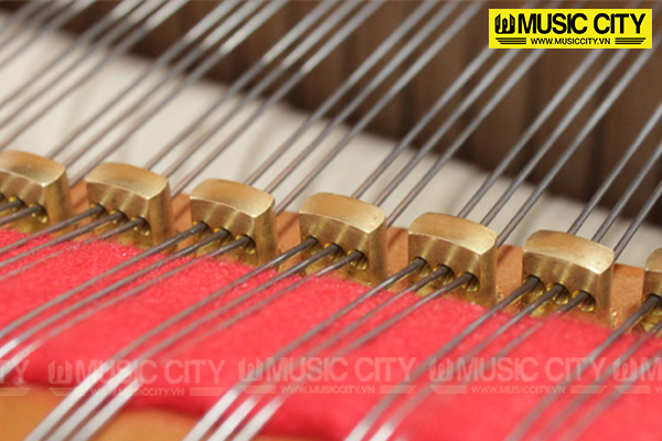Music City – Tổng Kho Piano, Guitar, Organ | Dịch Vụ Giáo Dục Âm Nhạc