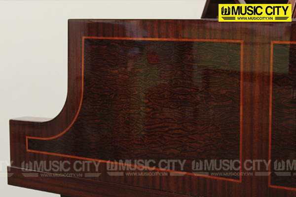 Music City – Tổng Kho Piano, Guitar, Organ | Dịch Vụ Giáo Dục Âm Nhạc