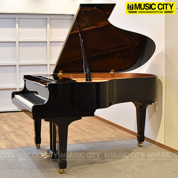 Music City – Tổng Kho Piano, Guitar, Organ | Dịch Vụ Giáo Dục Âm Nhạc