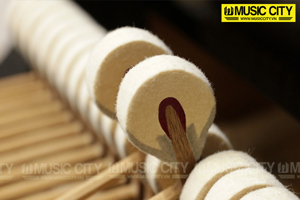 Music City – Tổng Kho Piano, Guitar, Organ | Dịch Vụ Giáo Dục Âm Nhạc