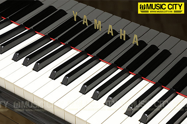Music City – Tổng Kho Piano, Guitar, Organ | Dịch Vụ Giáo Dục Âm Nhạc