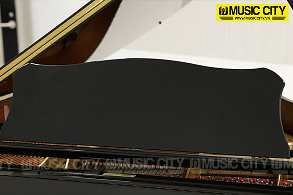Music City – Tổng Kho Piano, Guitar, Organ | Dịch Vụ Giáo Dục Âm Nhạc