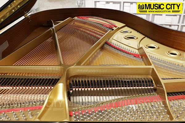 Music City – Tổng Kho Piano, Guitar, Organ | Dịch Vụ Giáo Dục Âm Nhạc