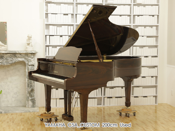 Music City – Tổng Kho Piano, Guitar, Organ | Dịch Vụ Giáo Dục Âm Nhạc