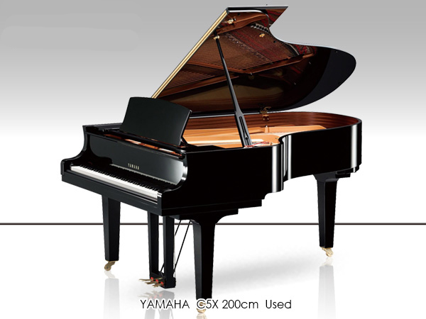 Music City – Tổng Kho Piano, Guitar, Organ | Dịch Vụ Giáo Dục Âm Nhạc