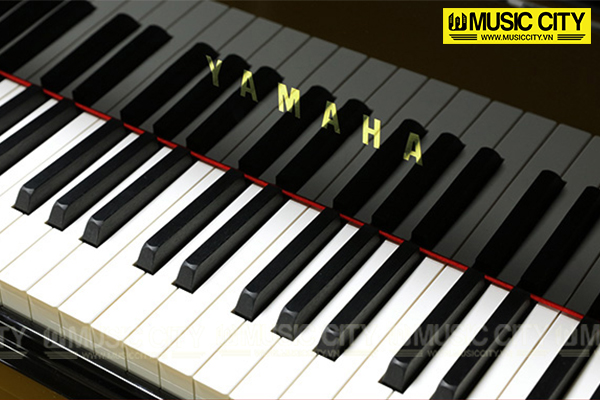 Music City – Tổng Kho Piano, Guitar, Organ | Dịch Vụ Giáo Dục Âm Nhạc