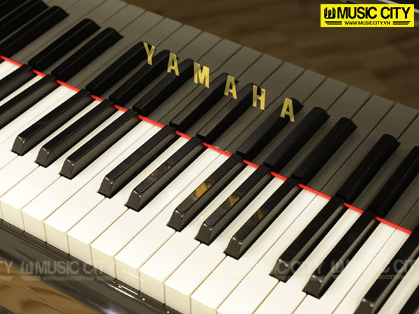 Music City – Tổng Kho Piano, Guitar, Organ | Dịch Vụ Giáo Dục Âm Nhạc