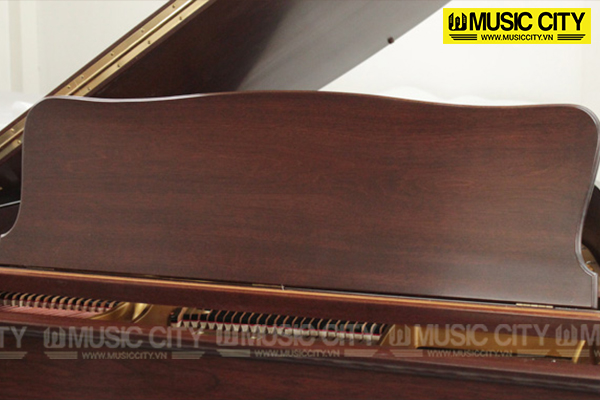 Music City – Tổng Kho Piano, Guitar, Organ | Dịch Vụ Giáo Dục Âm Nhạc