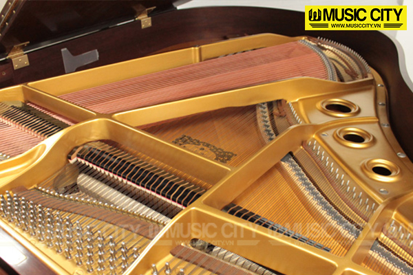 Music City – Tổng Kho Piano, Guitar, Organ | Dịch Vụ Giáo Dục Âm Nhạc
