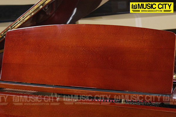 Music City – Tổng Kho Piano, Guitar, Organ | Dịch Vụ Giáo Dục Âm Nhạc