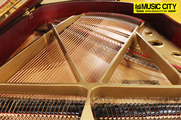 Music City – Tổng Kho Piano, Guitar, Organ | Dịch Vụ Giáo Dục Âm Nhạc