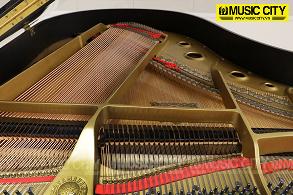 Music City – Tổng Kho Piano, Guitar, Organ | Dịch Vụ Giáo Dục Âm Nhạc