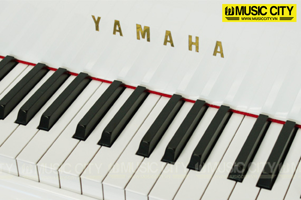 Music City – Tổng Kho Piano, Guitar, Organ | Dịch Vụ Giáo Dục Âm Nhạc