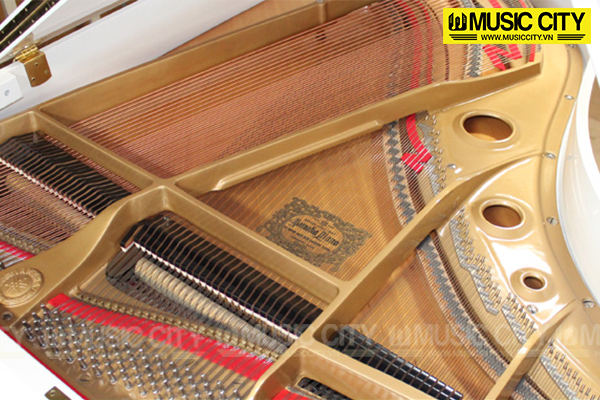 Music City – Tổng Kho Piano, Guitar, Organ | Dịch Vụ Giáo Dục Âm Nhạc