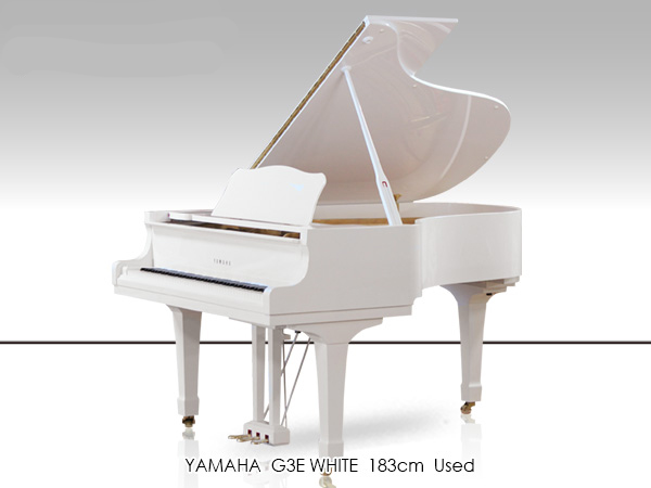 Music City – Tổng Kho Piano, Guitar, Organ | Dịch Vụ Giáo Dục Âm Nhạc