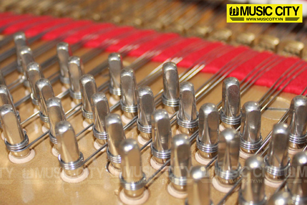 Music City – Tổng Kho Piano, Guitar, Organ | Dịch Vụ Giáo Dục Âm Nhạc
