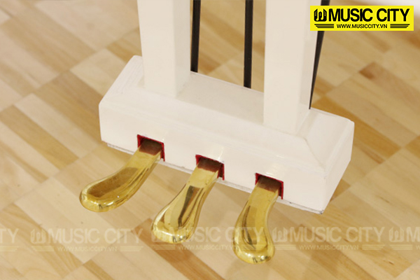 Music City – Tổng Kho Piano, Guitar, Organ | Dịch Vụ Giáo Dục Âm Nhạc