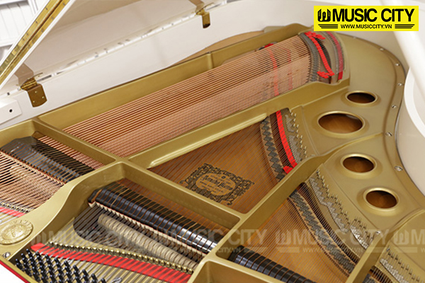 Music City – Tổng Kho Piano, Guitar, Organ | Dịch Vụ Giáo Dục Âm Nhạc