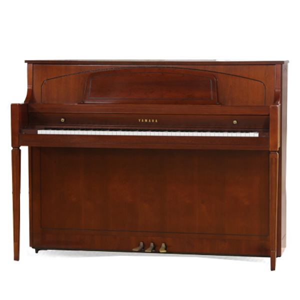 Music City – Tổng Kho Piano, Guitar, Organ | Dịch Vụ Giáo Dục Âm Nhạc