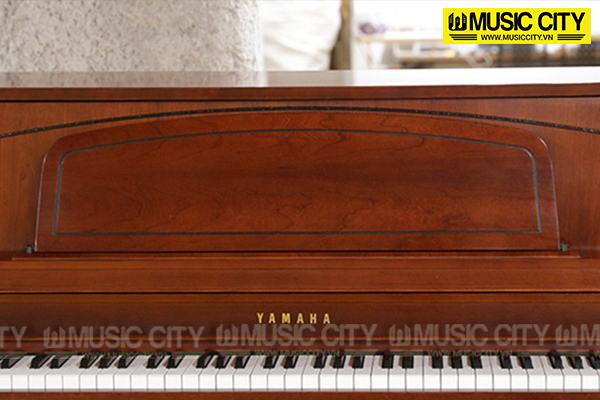 Music City – Tổng Kho Piano, Guitar, Organ | Dịch Vụ Giáo Dục Âm Nhạc