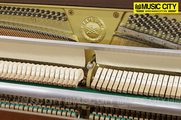 Music City – Tổng Kho Piano, Guitar, Organ | Dịch Vụ Giáo Dục Âm Nhạc