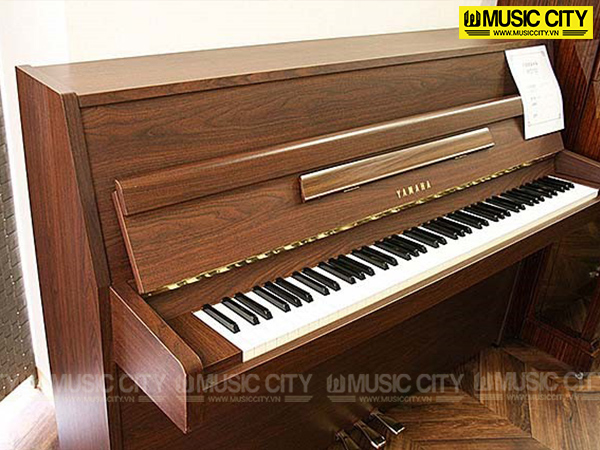 Music City – Tổng Kho Piano, Guitar, Organ | Dịch Vụ Giáo Dục Âm Nhạc