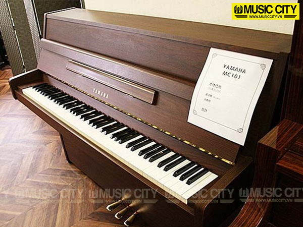Music City – Tổng Kho Piano, Guitar, Organ | Dịch Vụ Giáo Dục Âm Nhạc